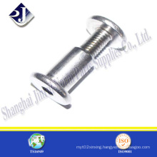 Hex Socket Chicago Bolt (304)